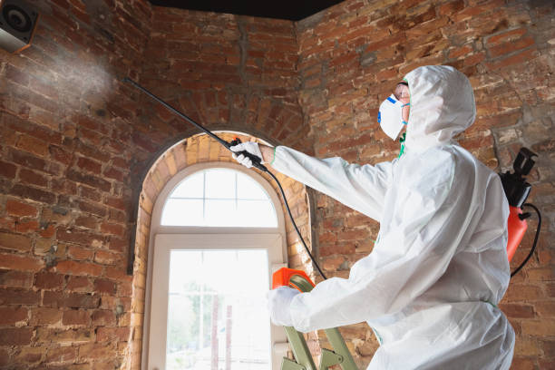 Best Mold Remediation for Healthcare Facilities  in Avonia, PA